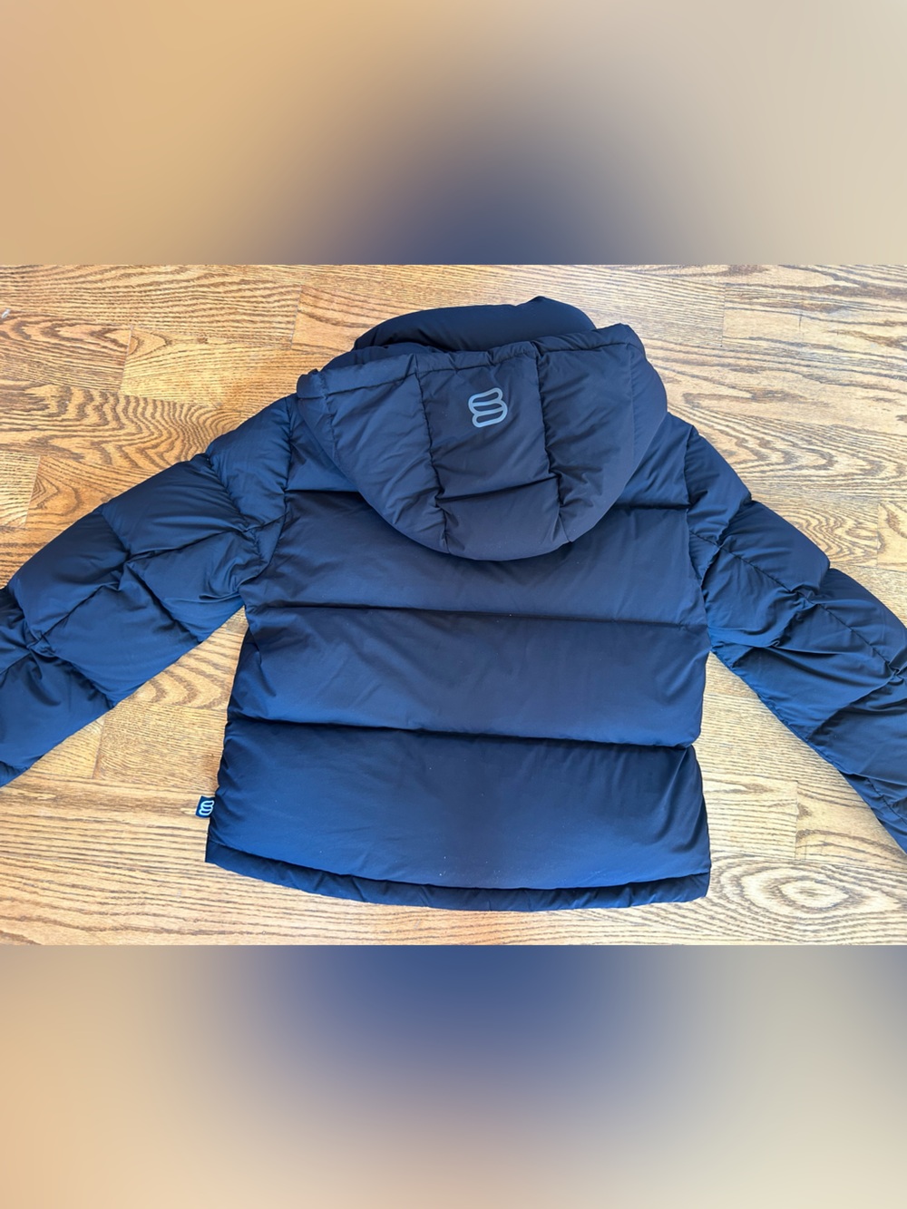 Aritzia shorty Puffer Jacket with Hood